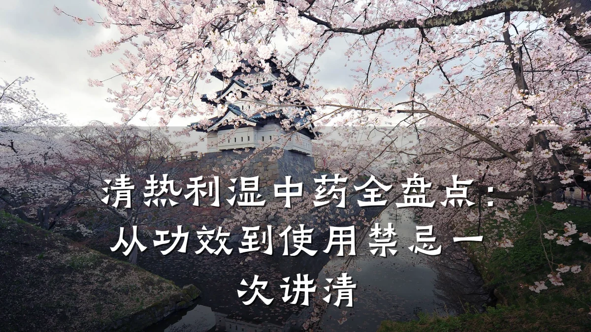 清热利湿中药全盘点:从功效到使用禁忌一次讲清