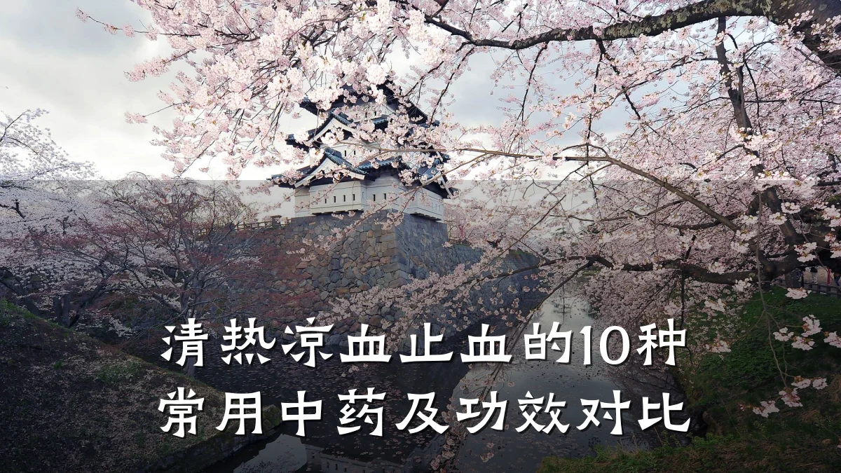 清热凉血止血的10种常用中药及功效对比