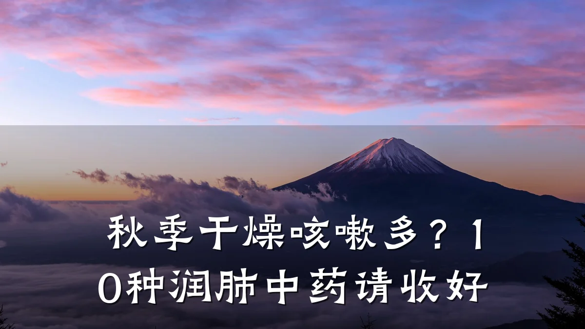 秋季干燥咳嗽多？10种润肺中药请收好