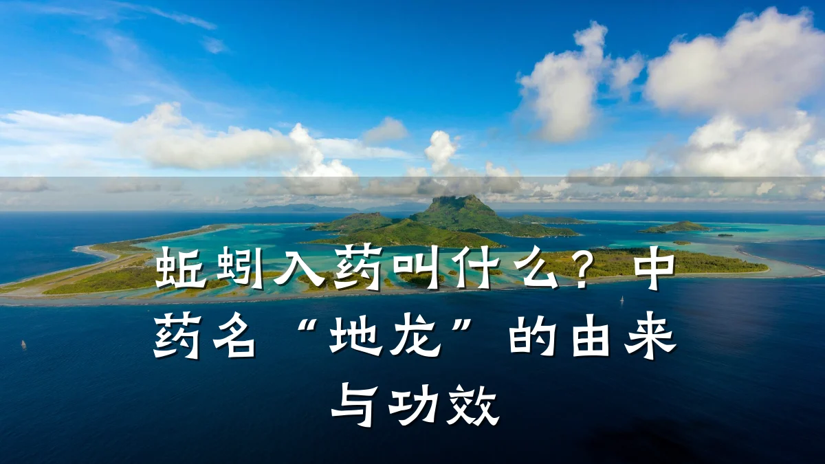 蚯蚓入药叫什么？中药名“地龙”的由来与功效