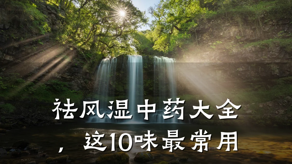 祛风湿中药大全，这10味最常用