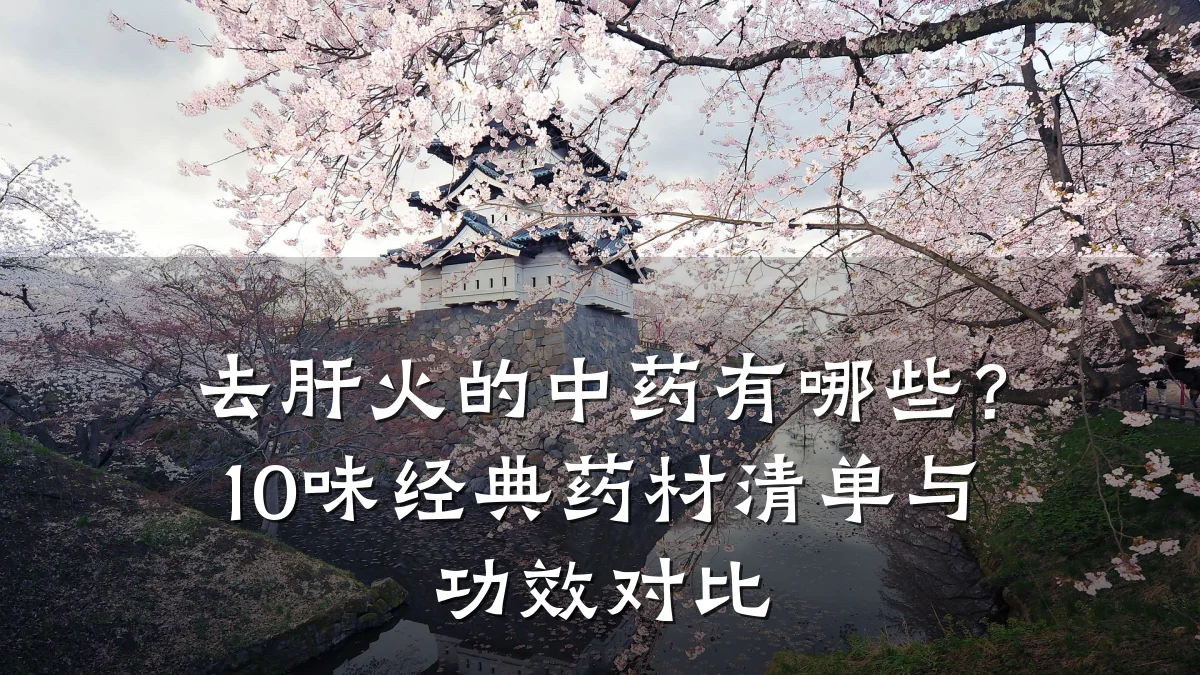 去肝火的中药有哪些?10味经典药材清单与功效对比