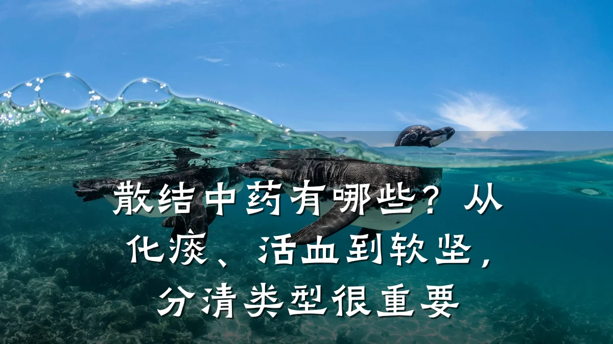 散结中药有哪些？从化痰、活血到软坚，分清类型很重要