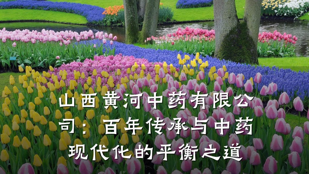 山西黄河中药有限公司：百年传承与中药现代化的平衡之道