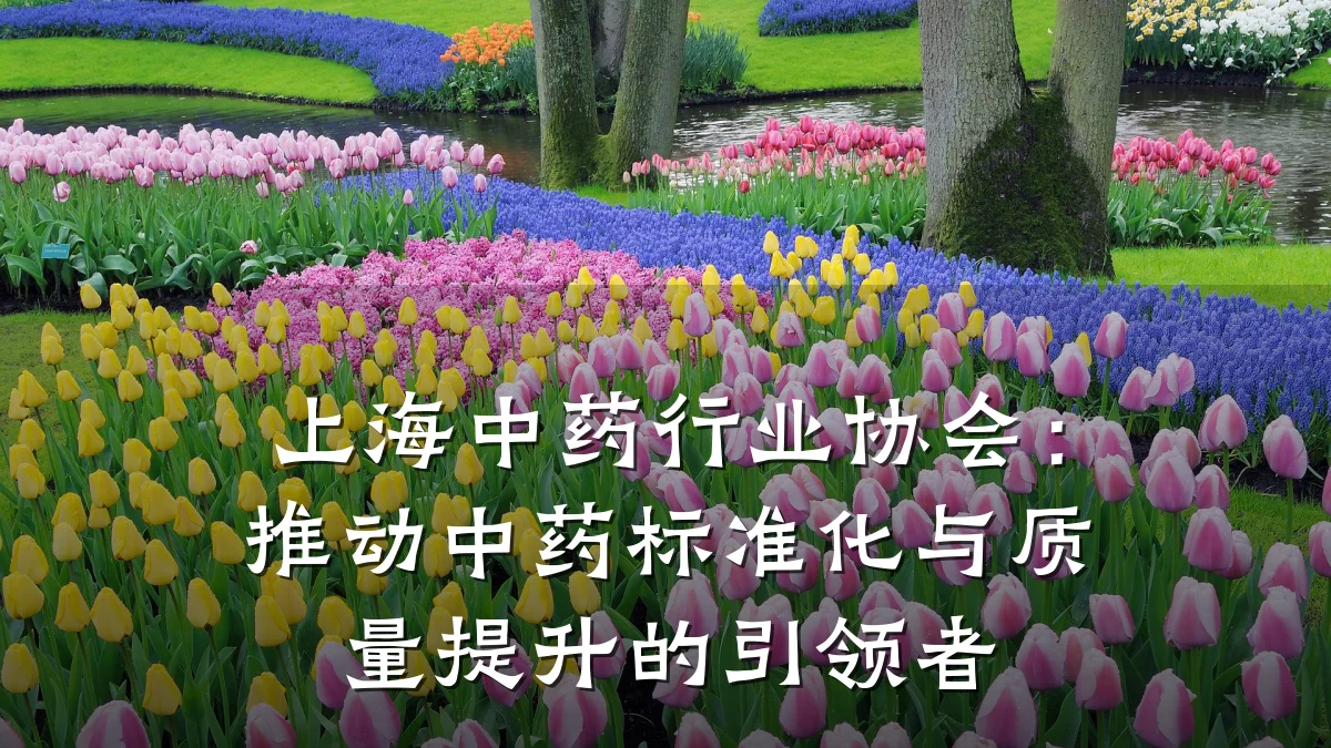 上海中药行业协会:推动中药标准化与质量提升的引领者