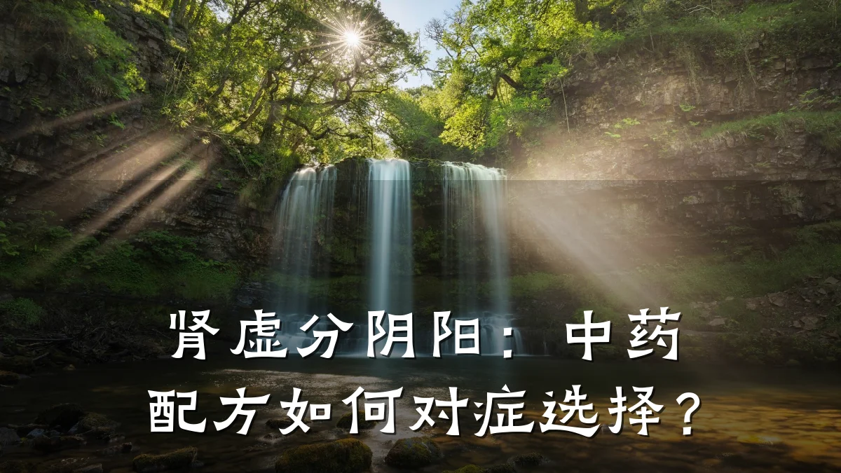 肾虚分阴阳：中药配方如何对症选择？