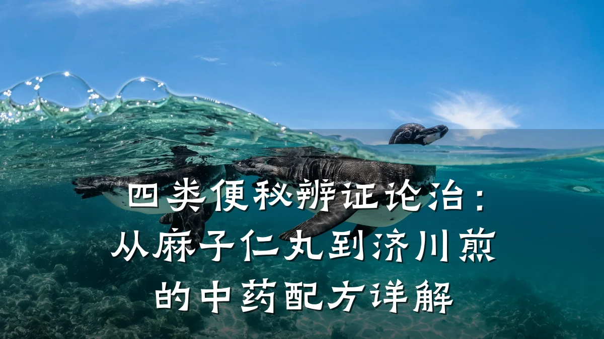 四类便秘辨证论治：从麻子仁丸到济川煎的中药配方详解