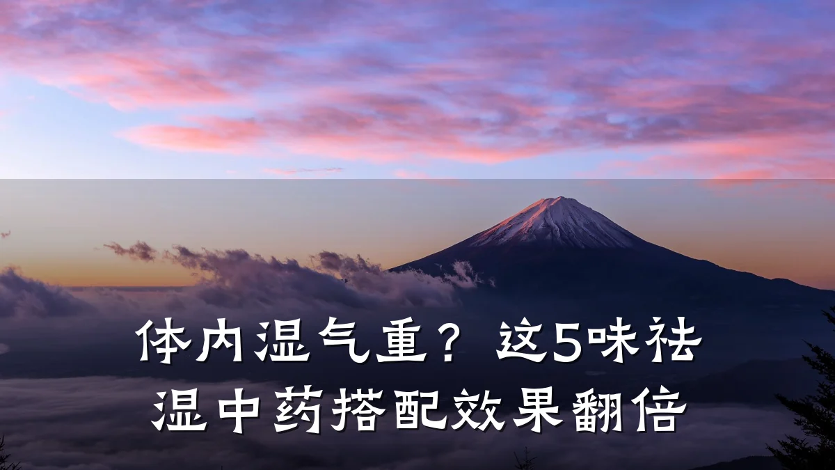 体内湿气重？这5味祛湿中药搭配效果翻倍