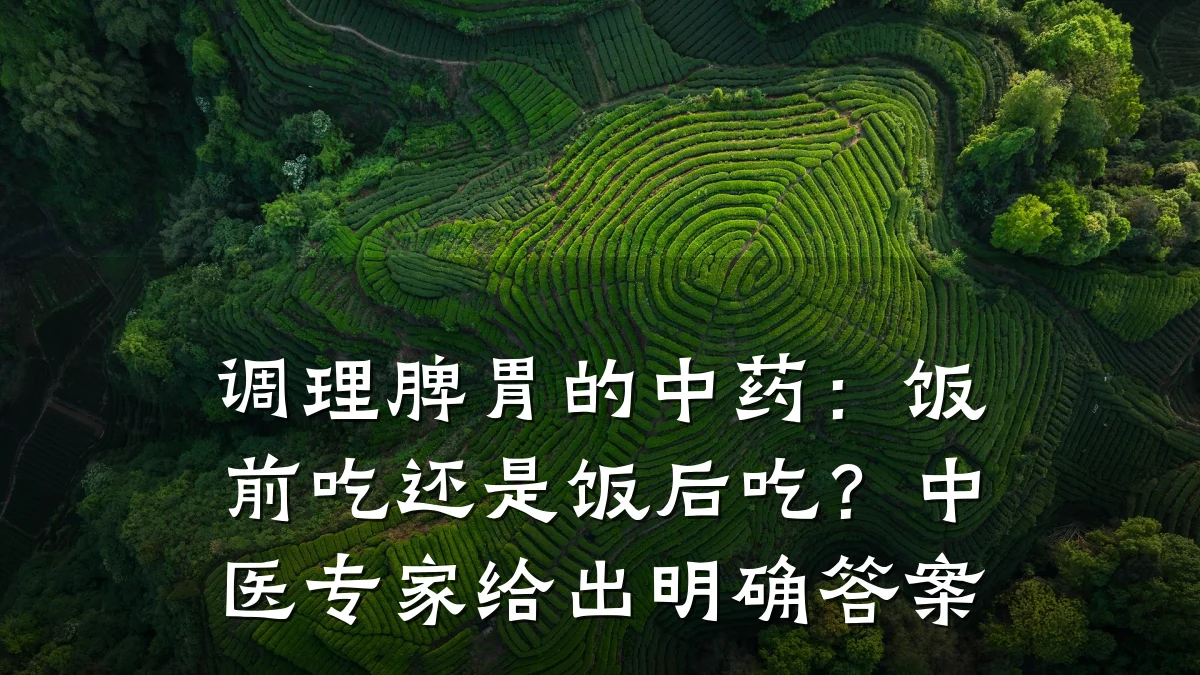 调理脾胃的中药：饭前吃还是饭后吃？中医专家给出明确答案