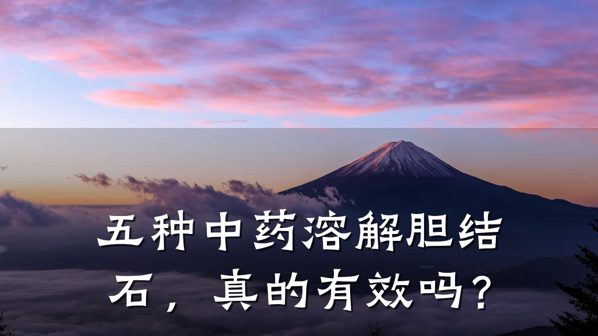 五种中药溶解胆结石，真的有效吗？