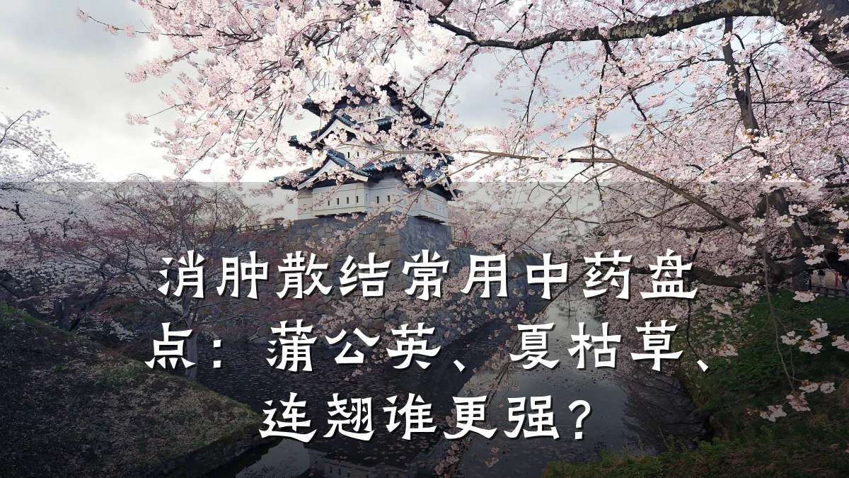 消肿散结常用中药盘点:蒲公英、夏枯草、连翘谁更强?