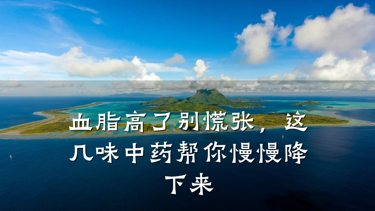 血脂高了别慌张，这几味中药帮你慢慢降下来