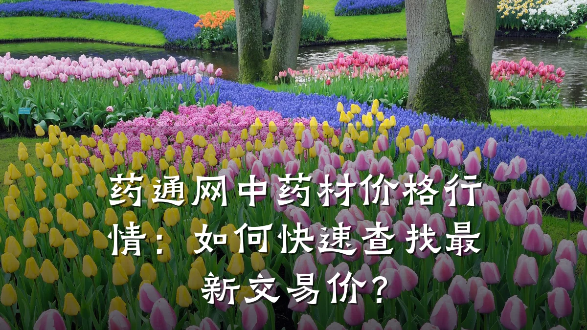 药通网中药材价格行情:如何快速查找最新交易价?