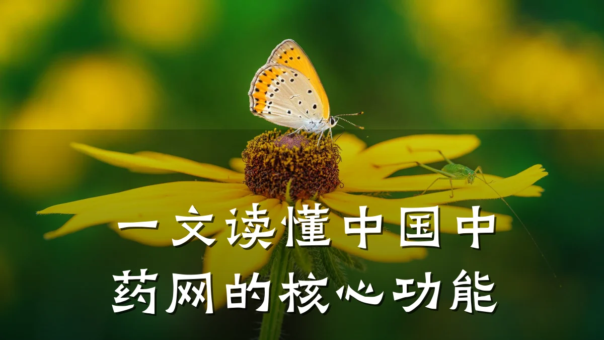 一文读懂中国中药网的核心功能