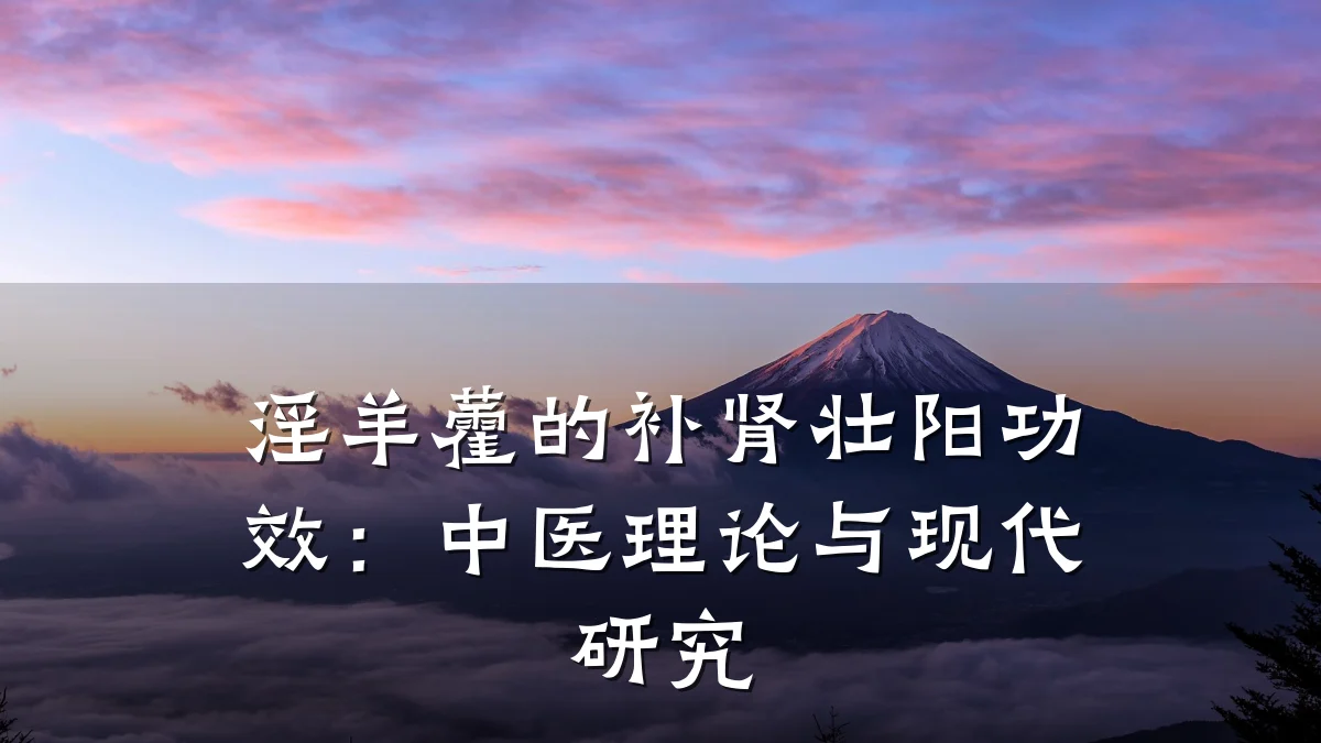 淫羊藿的补肾壮阳功效:中医理论与现代研究