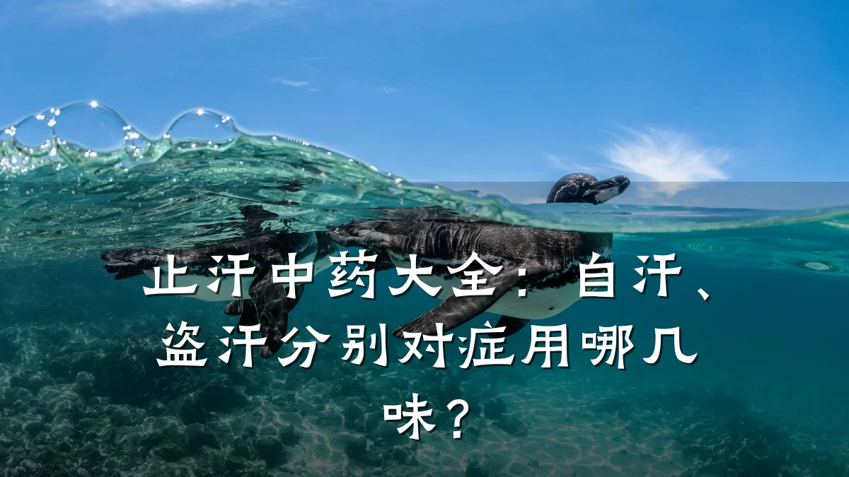 止汗中药大全:自汗、盗汗分别对症用哪几味?