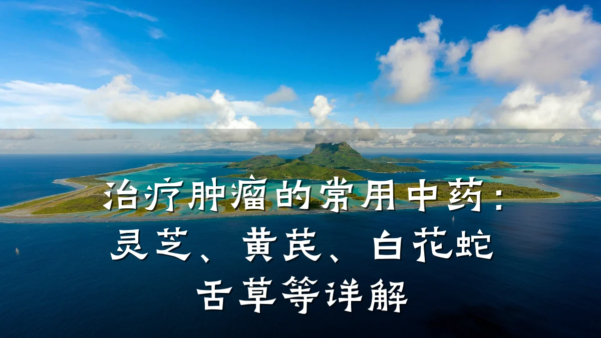 治疗肿瘤的常用中药:灵芝、黄芪、白花蛇舌草等详解