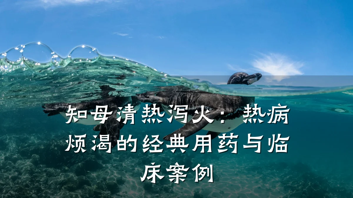 知母清热泻火：热病烦渴的经典用药与临床案例