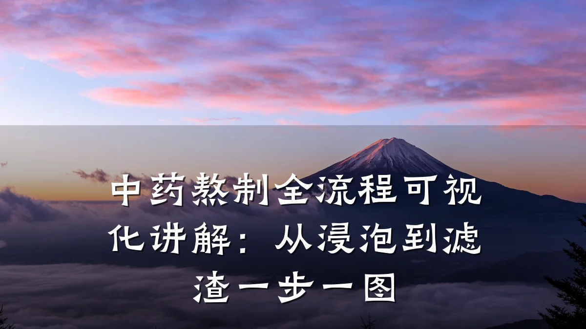 中药熬制全流程可视化讲解:从浸泡到滤渣一步一图