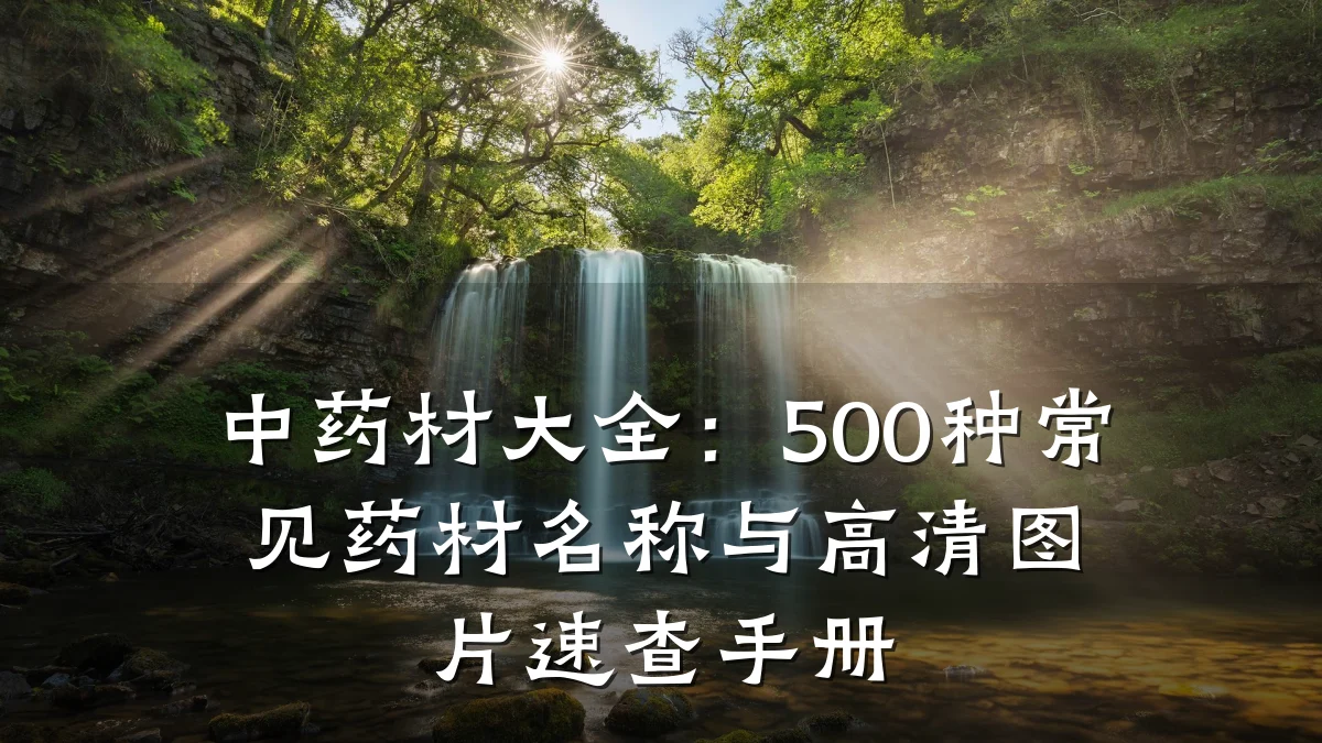 中药材大全:500种常见药材名称与高清图片速查手册