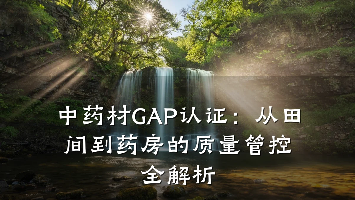 中药材GAP认证:从田间到药房的质量管控全解析