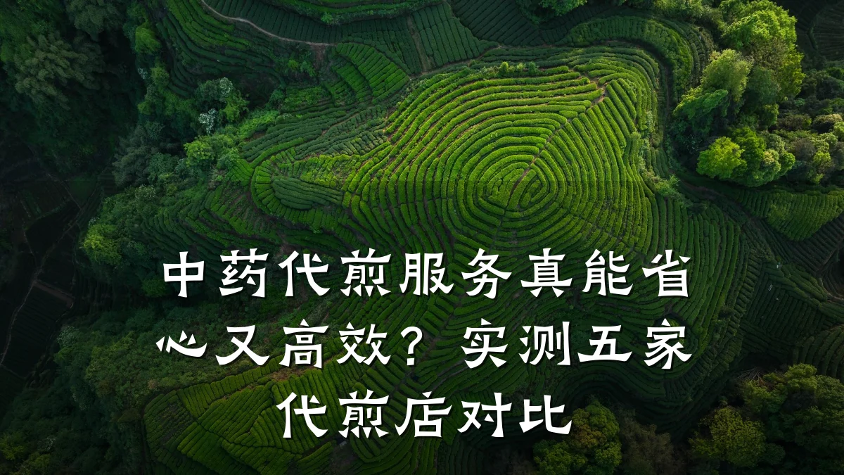 中药代煎服务真能省心又高效?实测五家代煎店对比
