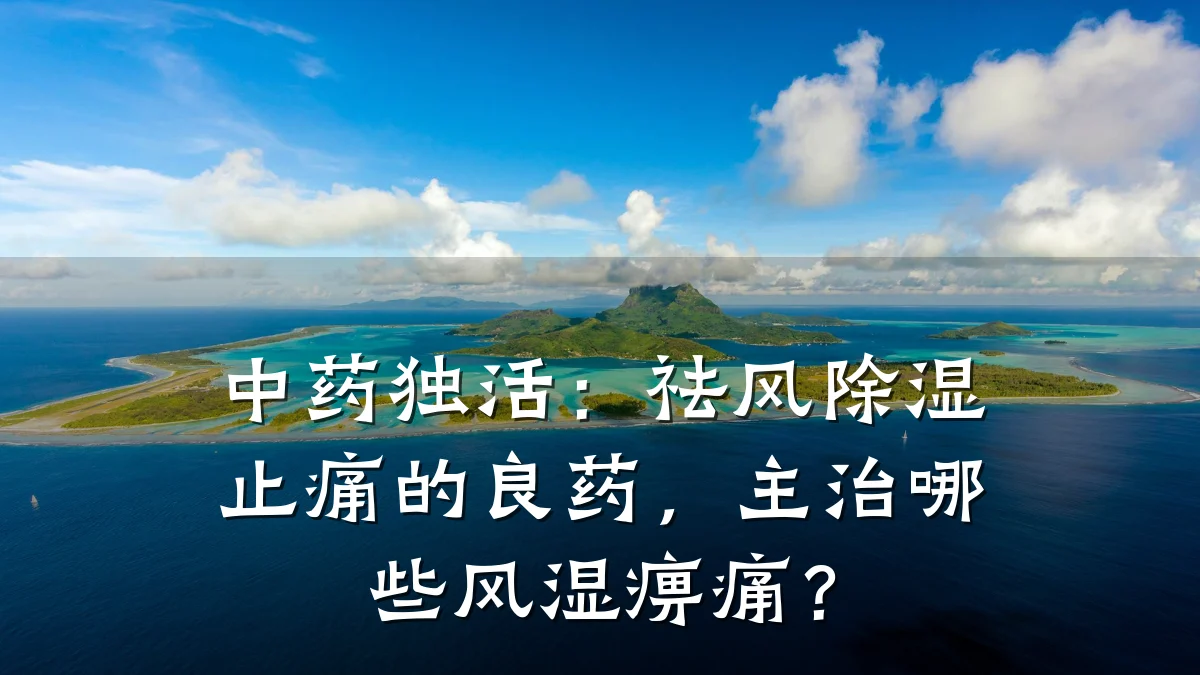 中药独活：祛风除湿止痛的良药，主治哪些风湿痹痛？