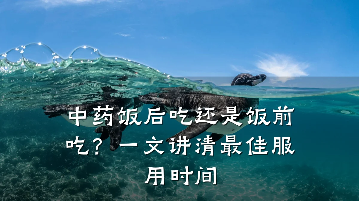 中药饭后吃还是饭前吃?一文讲清最佳服用时间
