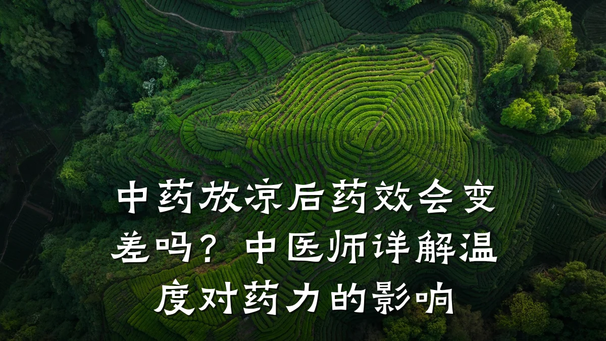 中药放凉后药效会变差吗?中医师详解温度对药力的影响