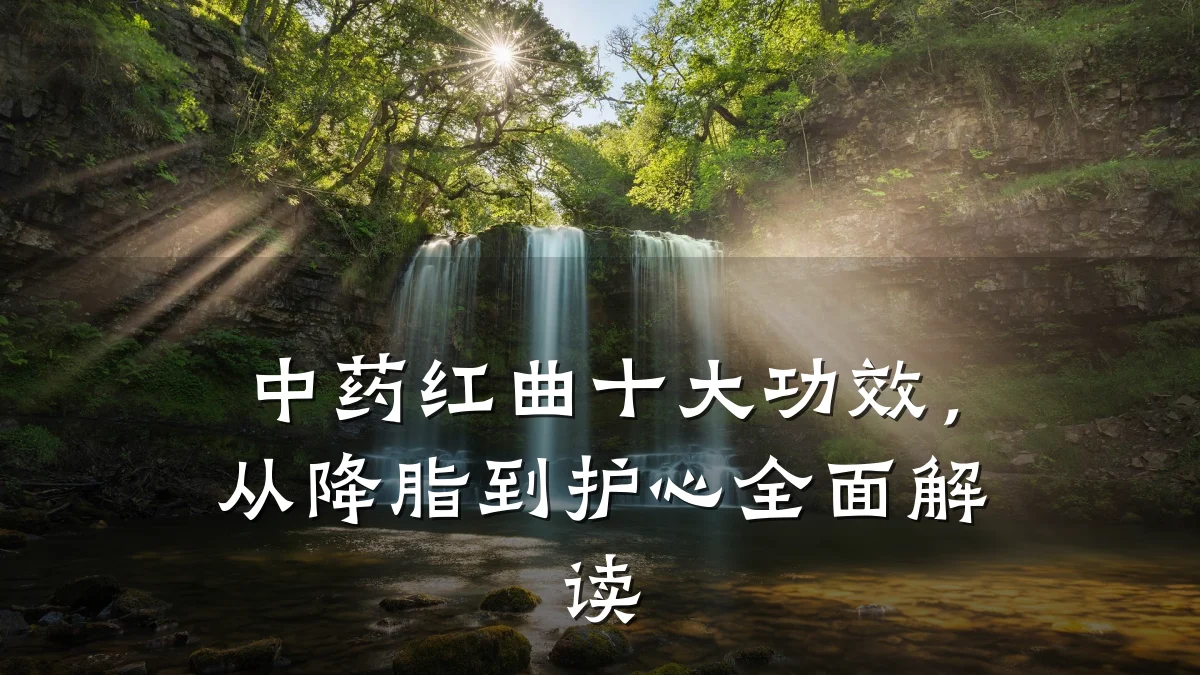中药红曲十大功效,从降脂到护心全面解读