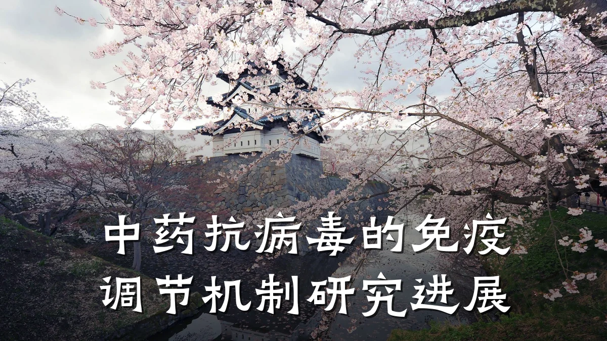 中药抗病毒的免疫调节机制研究进展