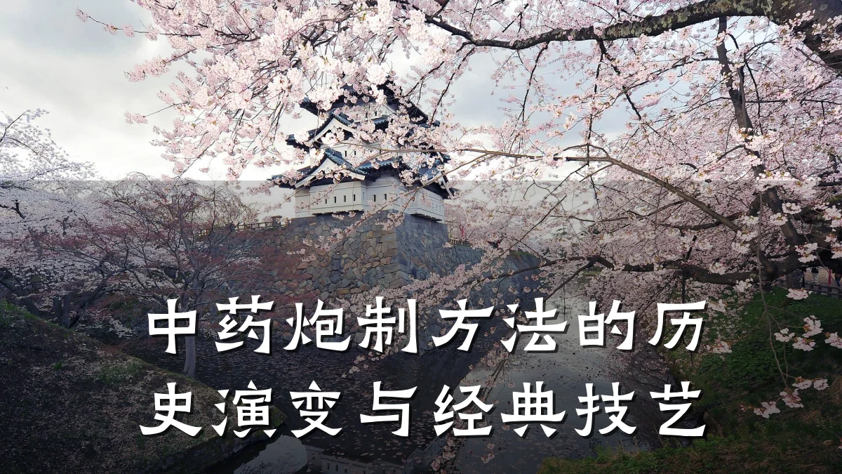 中药炮制方法的历史演变与经典技艺