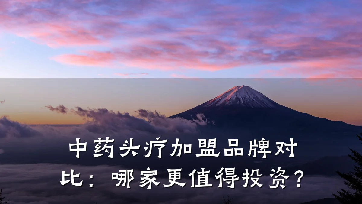 中药头疗加盟品牌对比:哪家更值得投资?