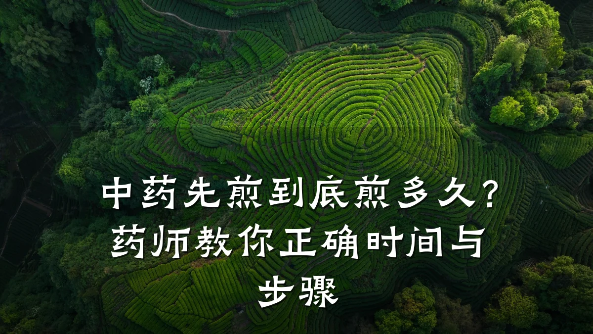 中药先煎到底煎多久？药师教你正确时间与步骤