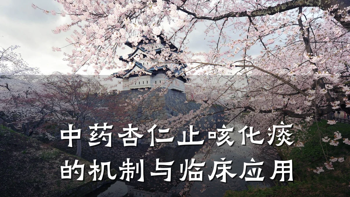 中药杏仁止咳化痰的机制与临床应用