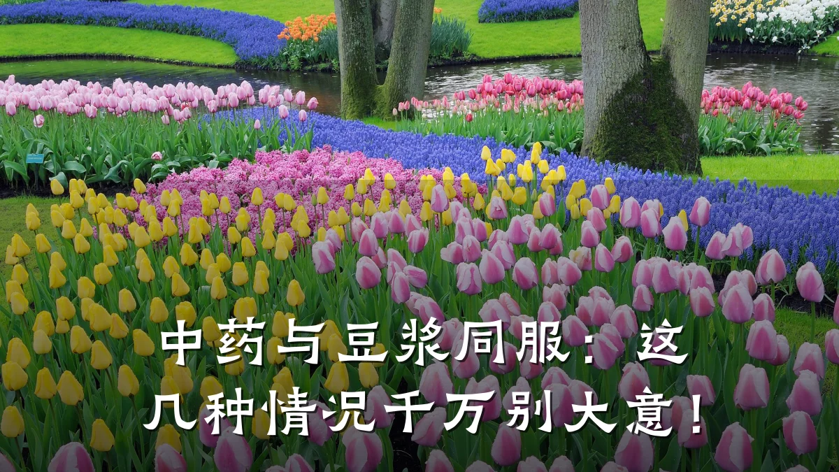 中药与豆浆同服:这几种情况千万别大意!