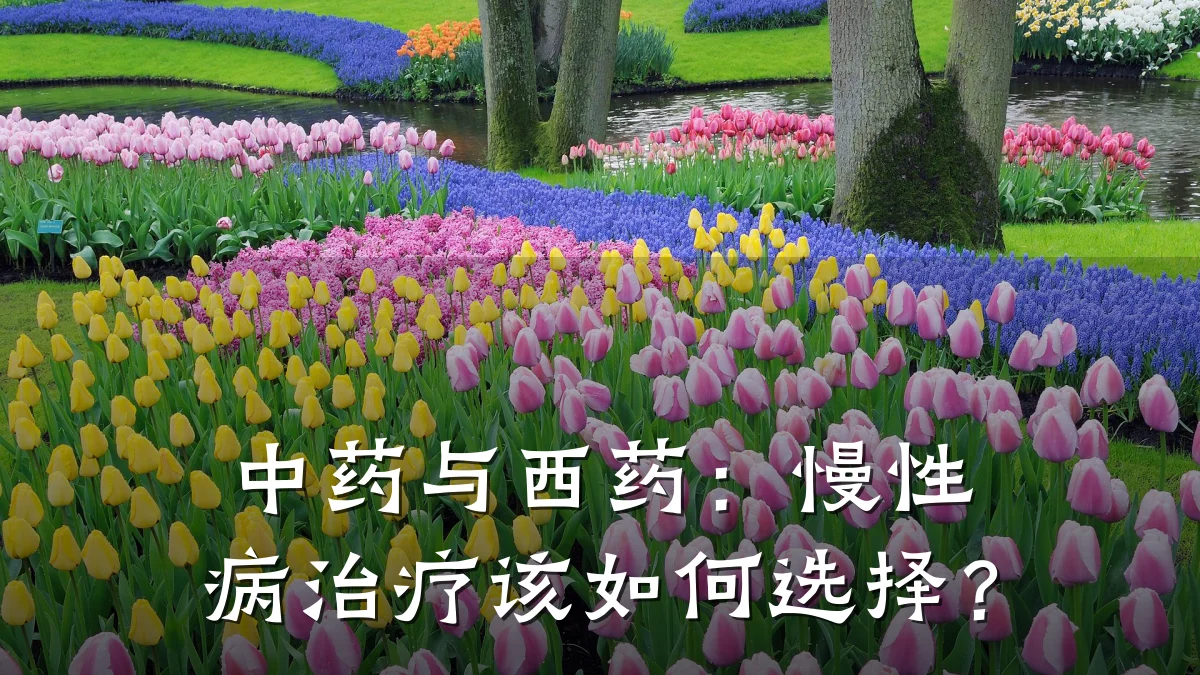 中药与西药：慢性病治疗该如何选择？