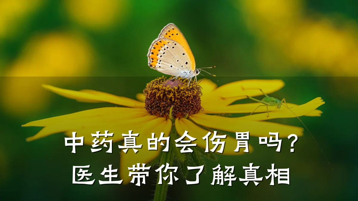 中药真的会伤胃吗？医生带你了解真相