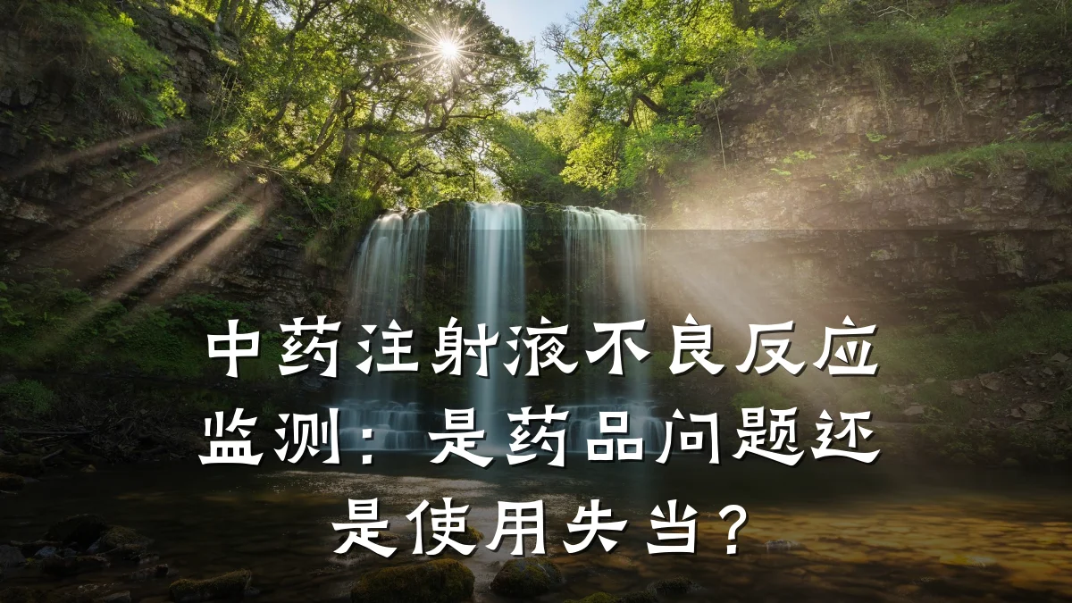 中药注射液不良反应监测：是药品问题还是使用失当？