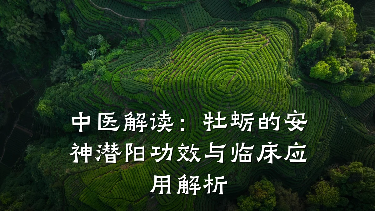 中医解读:牡蛎的安神潜阳功效与临床应用解析