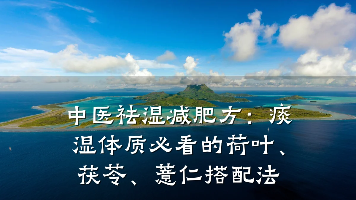 中医祛湿减肥方:痰湿体质必看的荷叶、茯苓、薏仁搭配法