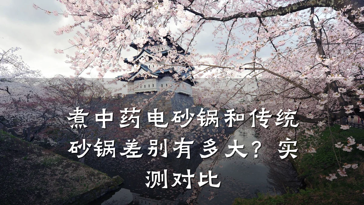 煮中药电砂锅和传统砂锅差别有多大?实测对比