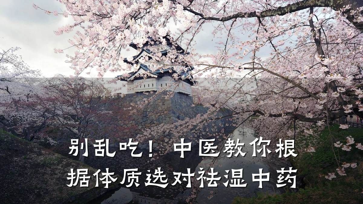 别乱吃!中医教你根据体质选对祛湿中药