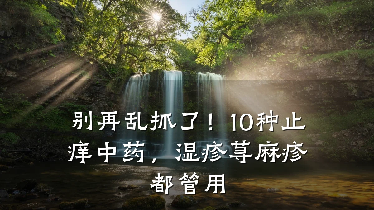 别再乱抓了!10种止痒中药,湿疹荨麻疹都管用