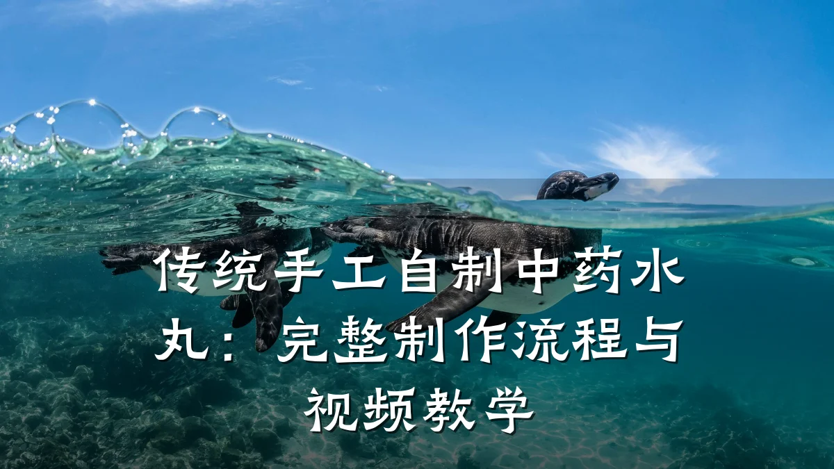 传统手工自制中药水丸:完整制作流程与视频教学