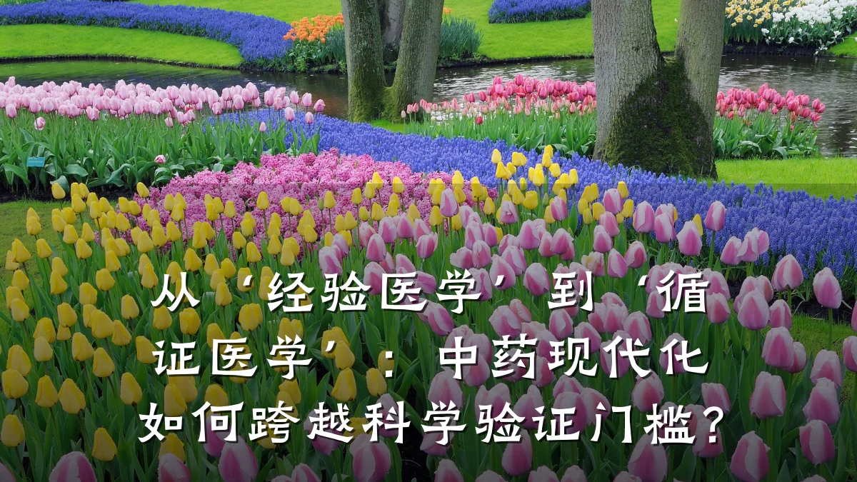 从‘经验医学’到‘循证医学’：中药现代化如何跨越科学验证门槛？
