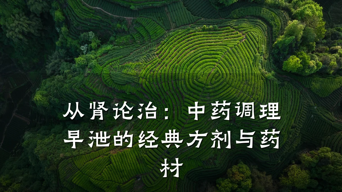 从肾论治:中药调理早泄的经典方剂与药材