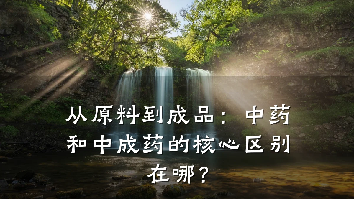 从原料到成品:中药和中成药的核心区别在哪?