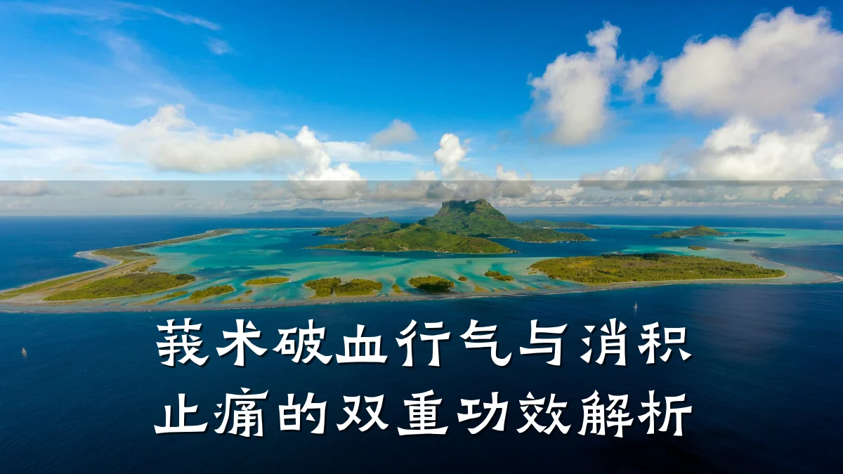 莪术破血行气与消积止痛的双重功效解析