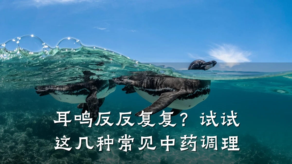 耳鸣反反复复?试试这几种常见中药调理